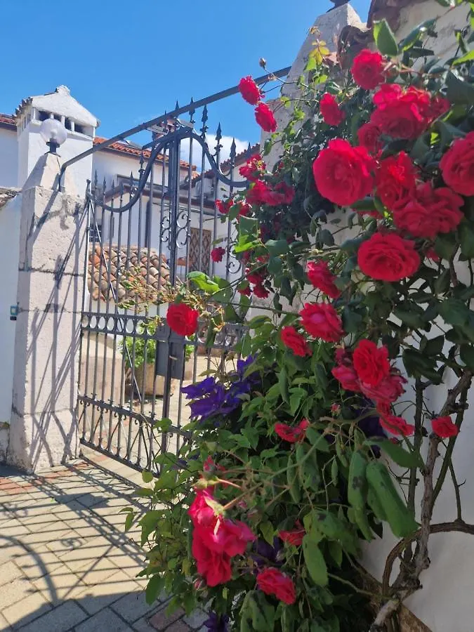 Guesthouse Villa Galovic Brseč 3*,  Kroatië